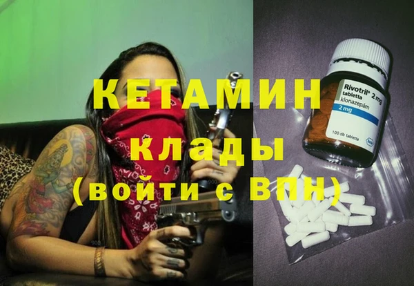 прущие грибы Богородицк